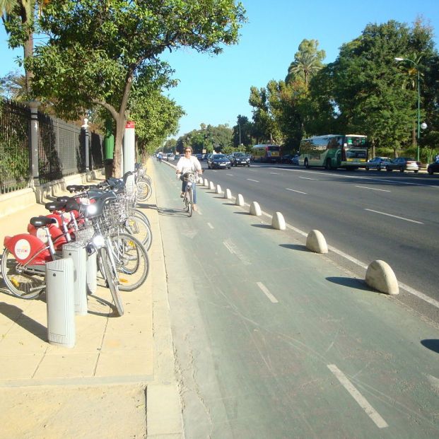 Carril bici en la Avenida de la Palmera de Sevilla (Creative commons)