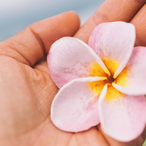 Flor de Tiaré Bigstock