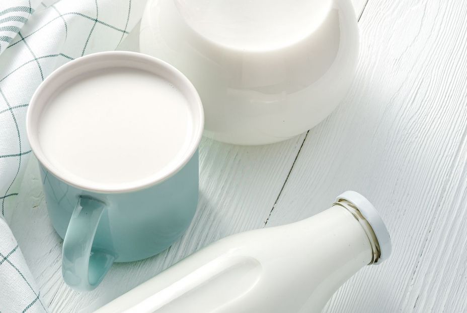 Leche UHT o la pasteurizada: ¿cuál es mejor? Foto: bigstock 