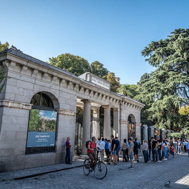 bigstock  Real Jardín Botánico Madrid Paseo Del Prado