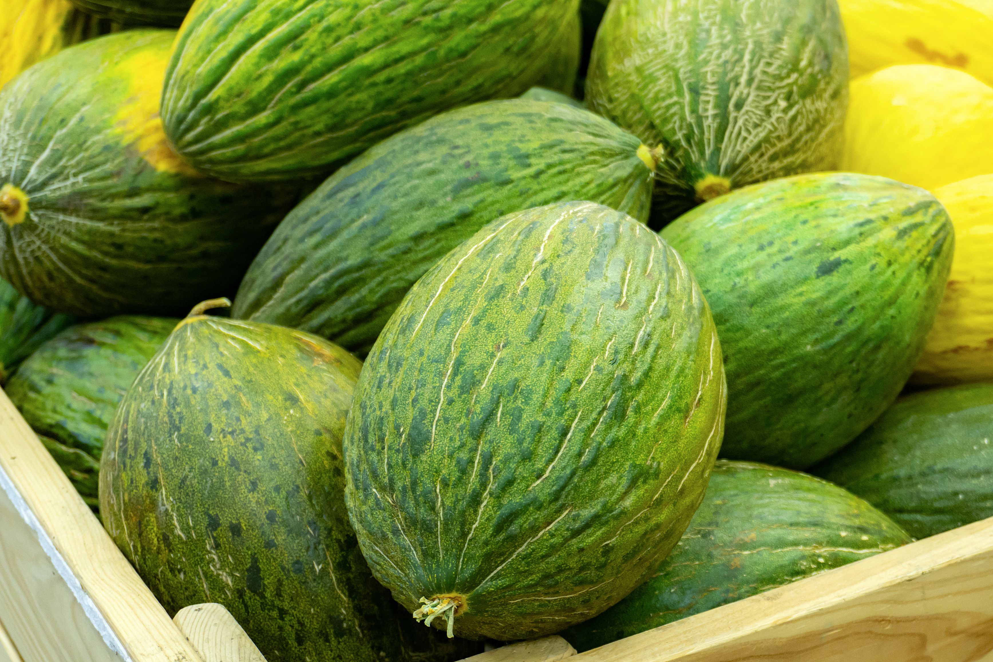 Un agricultor experimentado cuenta el truco para elegir el mejor melón del mercado