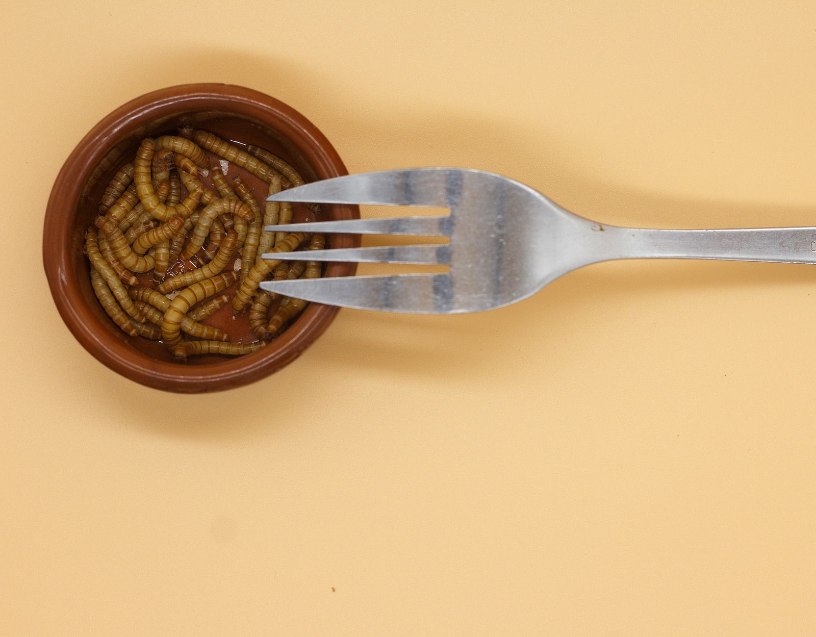 Qué es el gusano de la harina y por qué debes evitarlo si tienes estas alergias (Foto Bigstock)