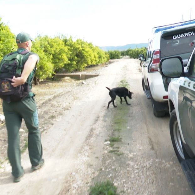 EuropaPress 2542825 agente perro busqueda marta calvo alrededores manuel