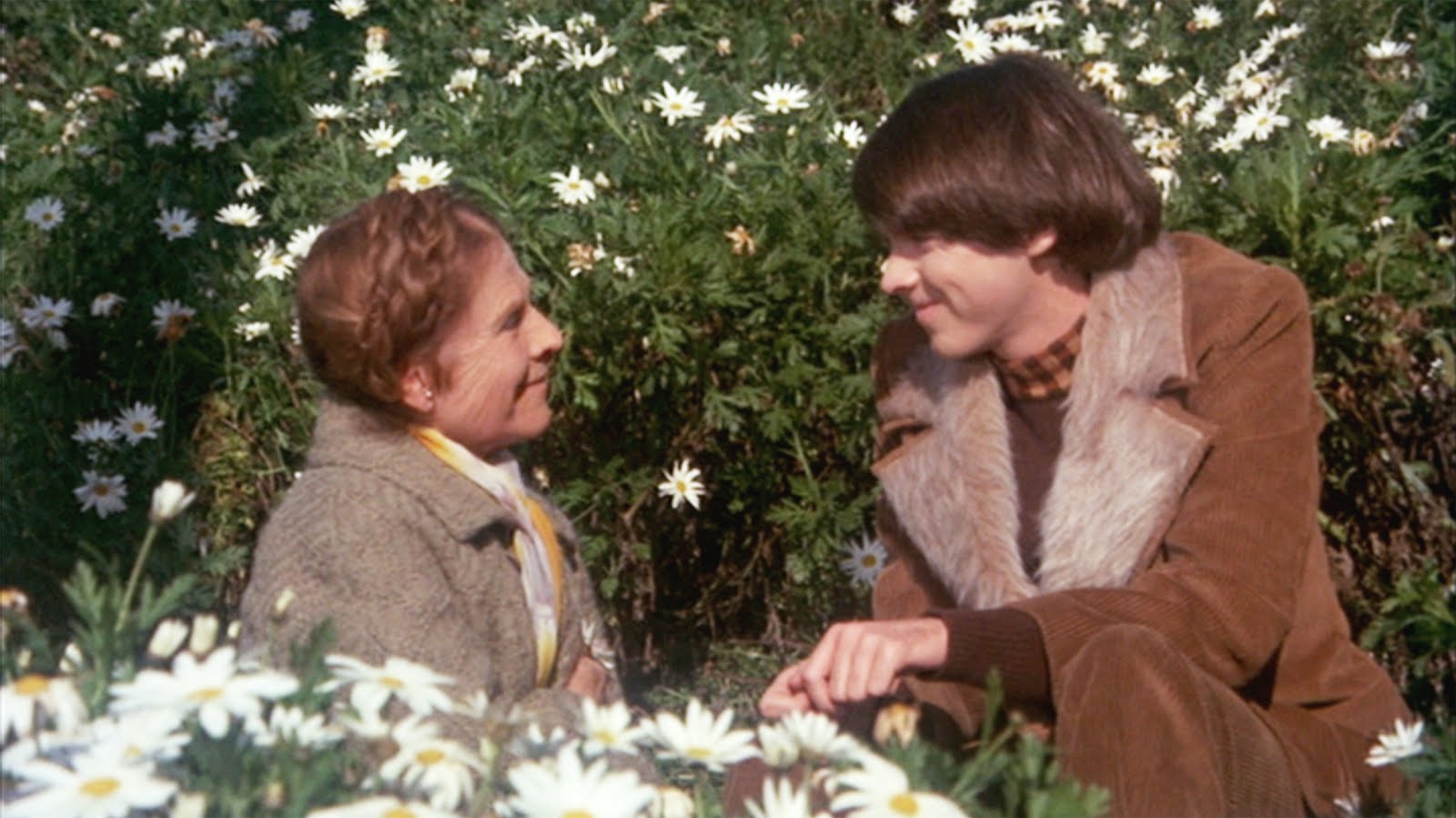 Vuelve 'Harold y Maude', la inolvidable historia de amor entre un adolescente y una mujer de 79 años