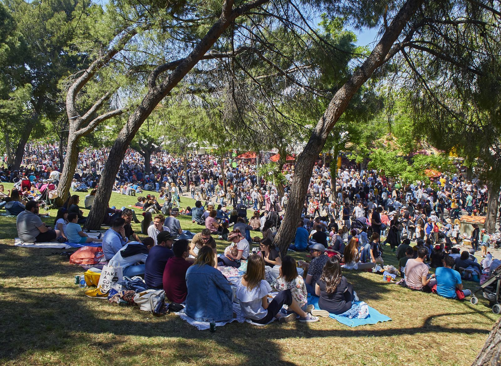 Planes de la de San Isidro en Madrid