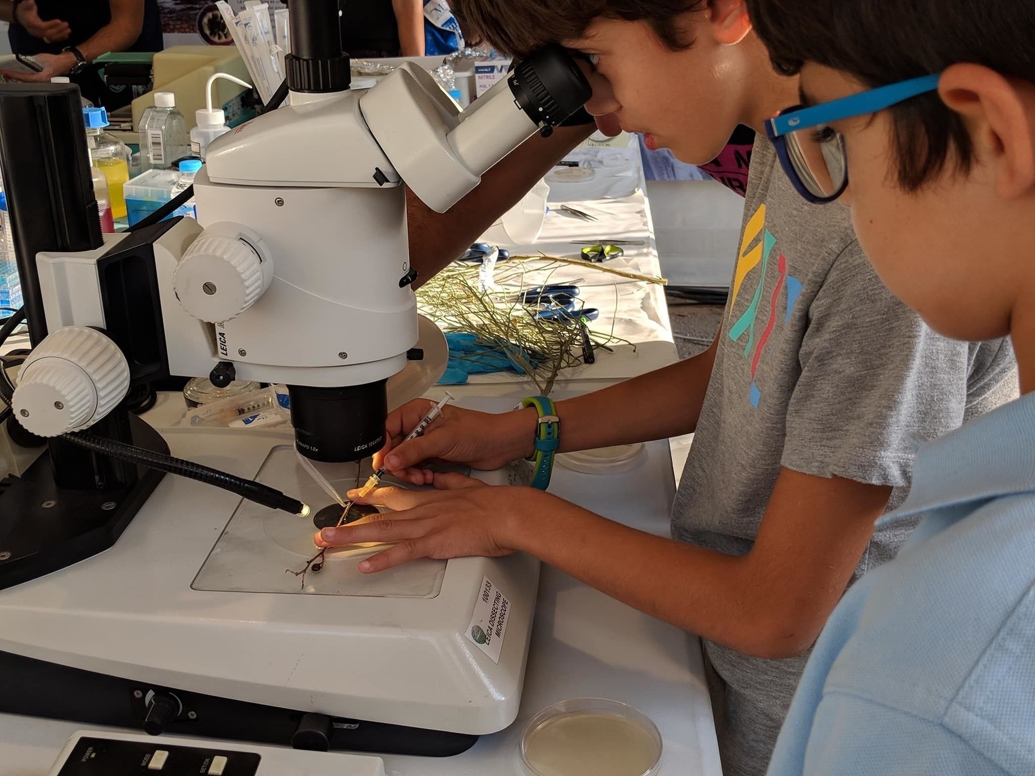 Más de 100 actividades gratuitas en la 12 edición de la Noche Europea de los Investigadores en Madrid. Foto: Europa Press