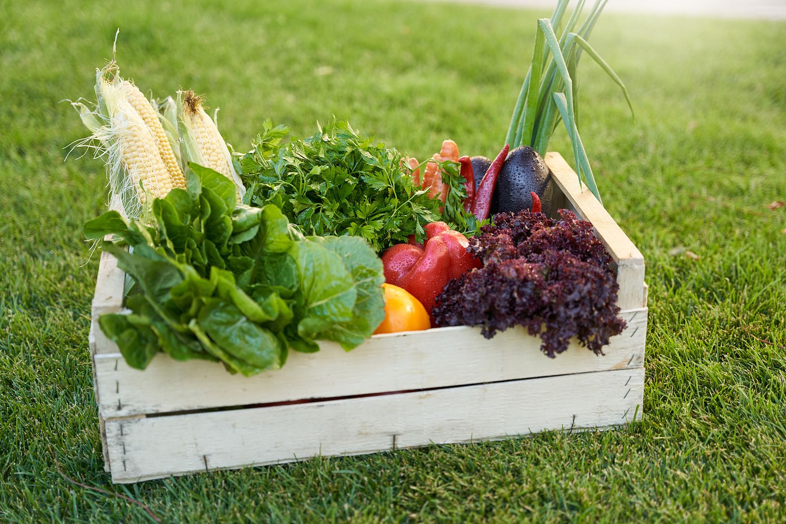 Estas son las frutas y verduras de temporada en septiembre. Foto: bigstock