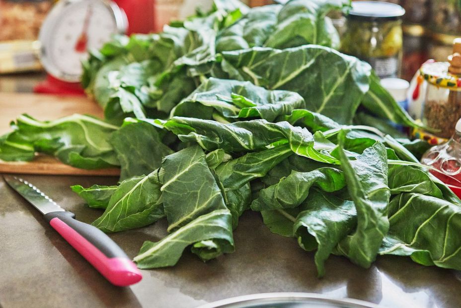 En septiembre estas son las verduras de temporada para llenar tu nevera: acelgas