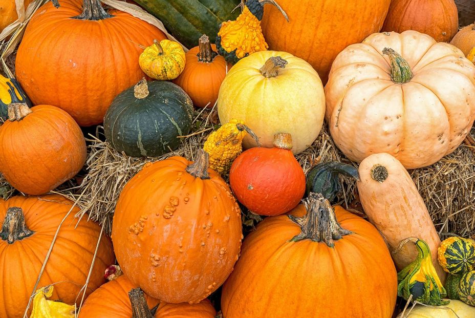 En septiembre estas son las verduras de temporada para llenar tu nevera: calabaza