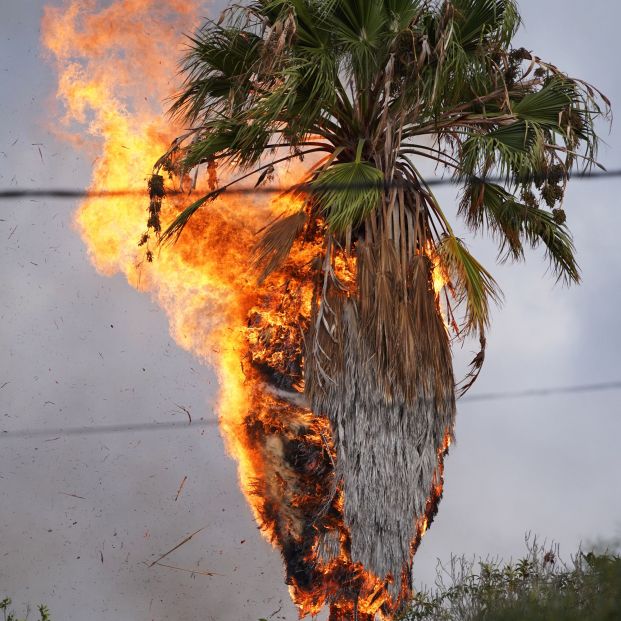 EuropaPress 3949654 palmera incendia entrada erupcion volcan cabeza vaca 20 septiembre 2021 (1)