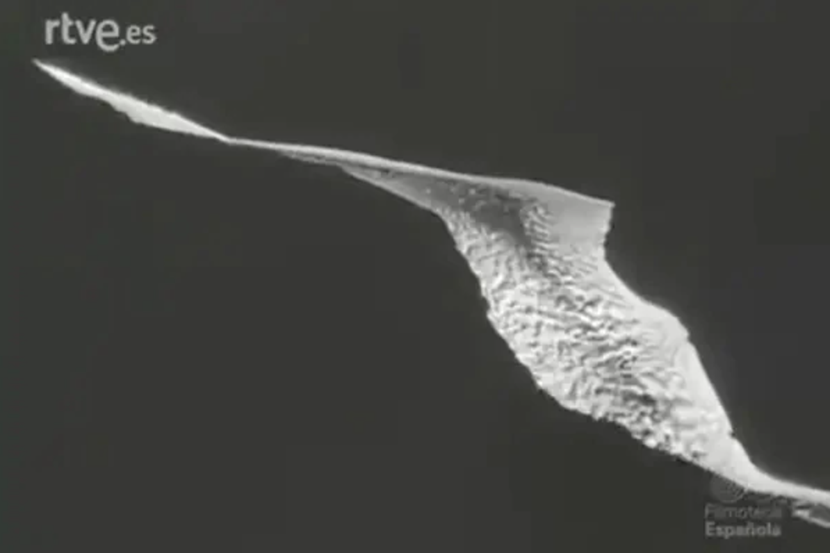 La erupción del volcán de San Juan de La Palma en 1949, contada por el NO-DO