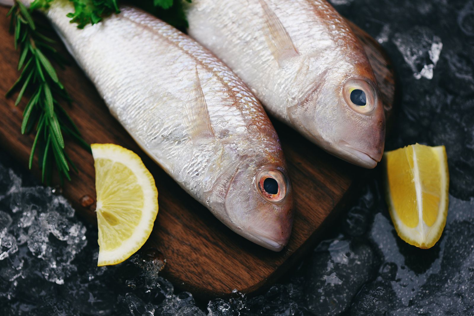 Qué tener en cuenta a la hora de comprar pescado