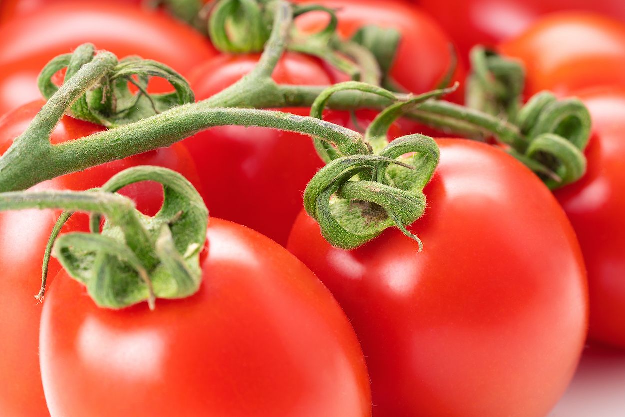 Por qué deberías comer tomate cada día