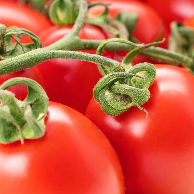 Por qué deberías comer tomate cada día