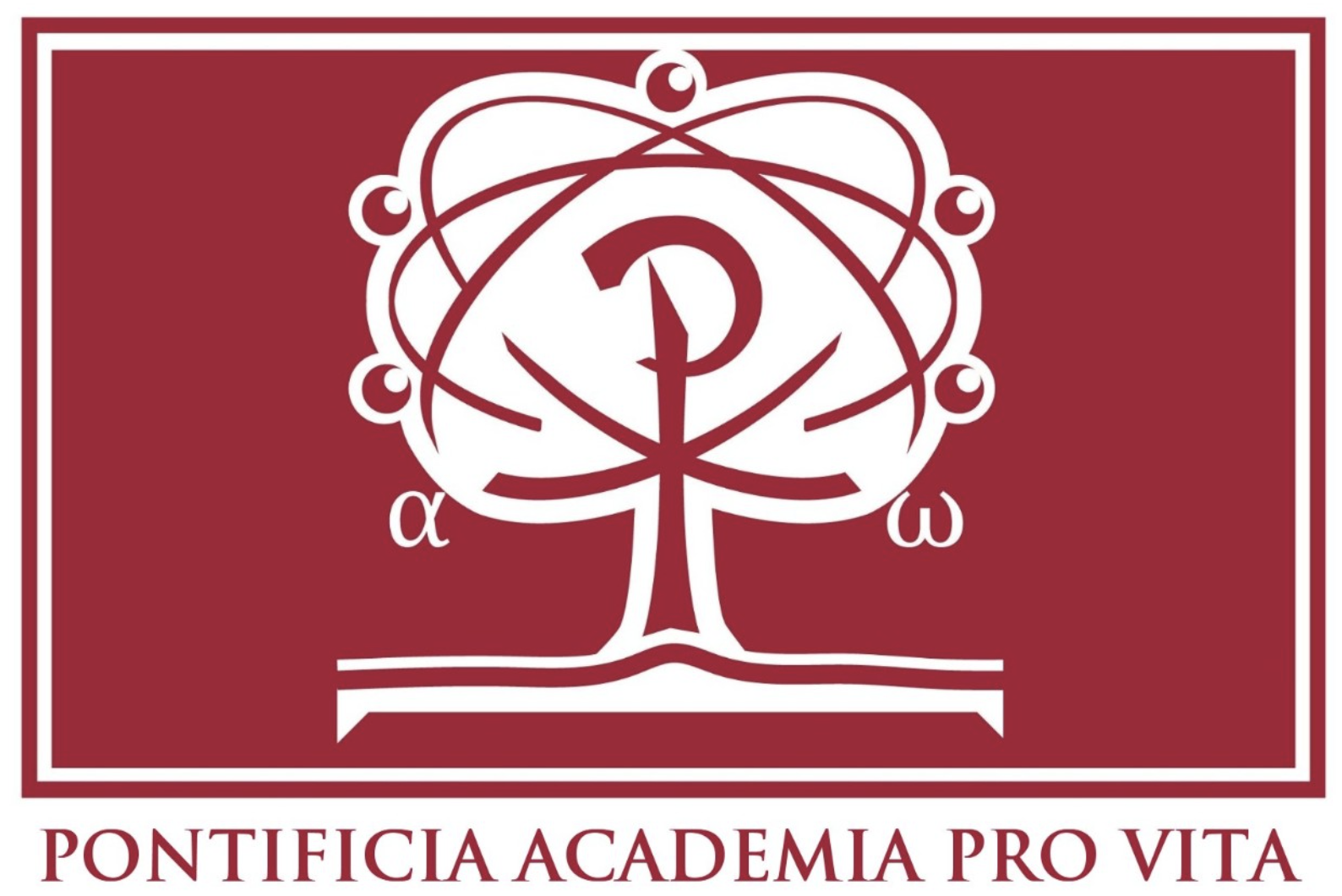 Academia Pontificia para la Vida
