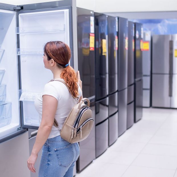 Comprar un frigorífico: cuál elegir