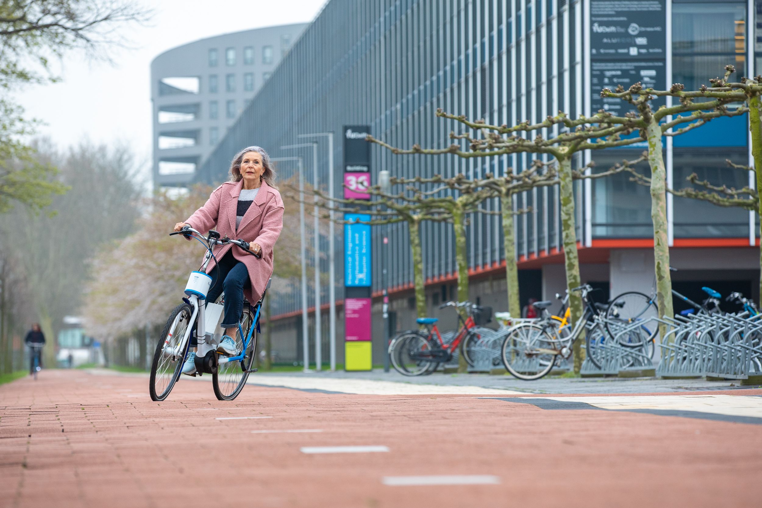 Bicicleta eléctrica para evitar las caídas (TUDelft)