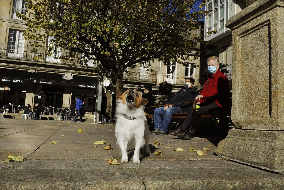 EuropaPress 3442454 perro ladra plaza mayor carballino donde hoy levanta cierre perimetral