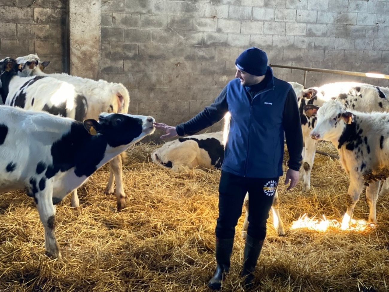 Ganaderos asturianos piden proteger los sonidos, olores y costumbres del medio rural. Foto: Europa Press