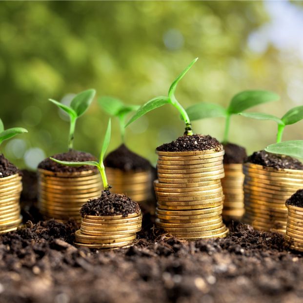 El 90% de los consumidores no pagarían más por la sostenibilidad de un producto financiero