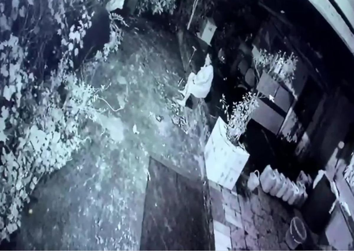 VÍDEO: Una mujer mayor consigue repeler el ataque de un leopardo gracias a su bastón
