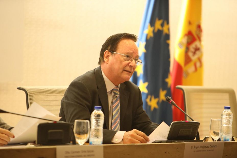 Ángel Rodríguez Castedo, presidente de la Plataforma de Mayores y Pensionistas. Foto: Imserso