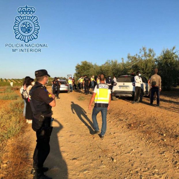 Desarticulada una organización que explotaba a extranjeros en fincas agrarias de Sevilla