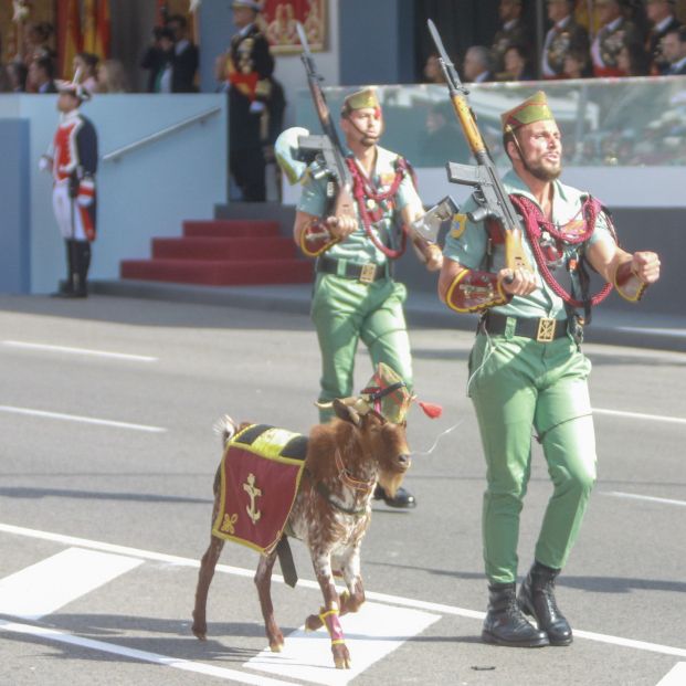 La cabra de la Legión en el desfile del 12 de octubre. Foto: Ricardo Rubio / Europa Press