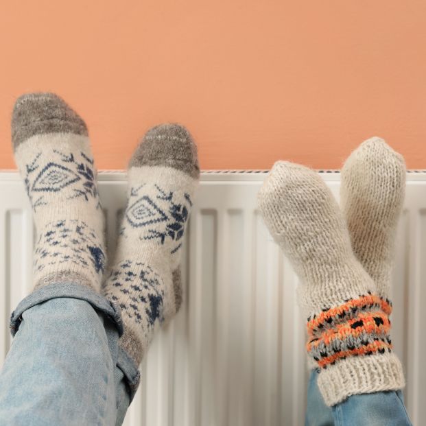 ¿Radiadores o estufas de pellets? La mejor opción para calentar una vivienda de 90 m2. Foto: Bigstock