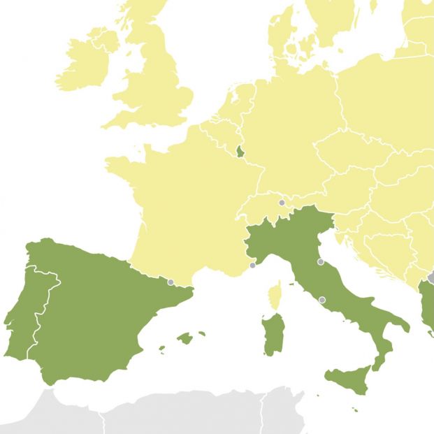 Aceite vs. mantequilla: el mapa que muestra qué países europeos usan uno u otro para cocinar (Foto: Landgeist)
