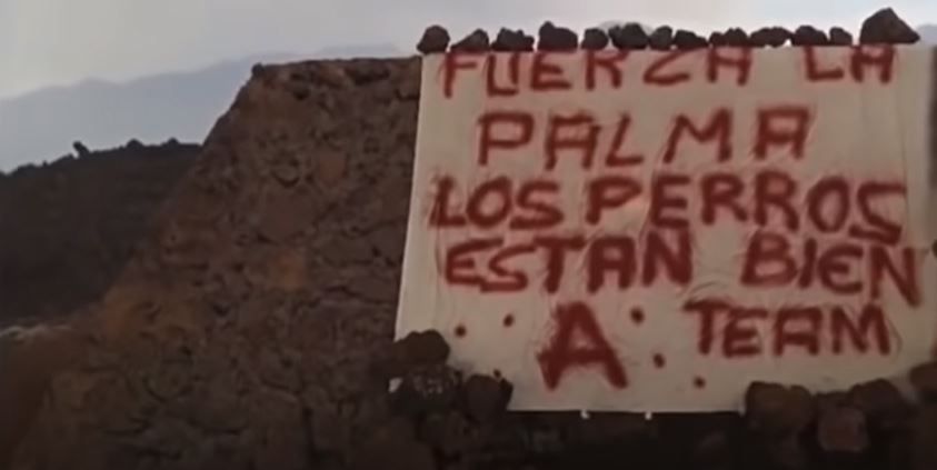 Final inesperado para los podencos de La Palma atrapados entre las coladas del volcán