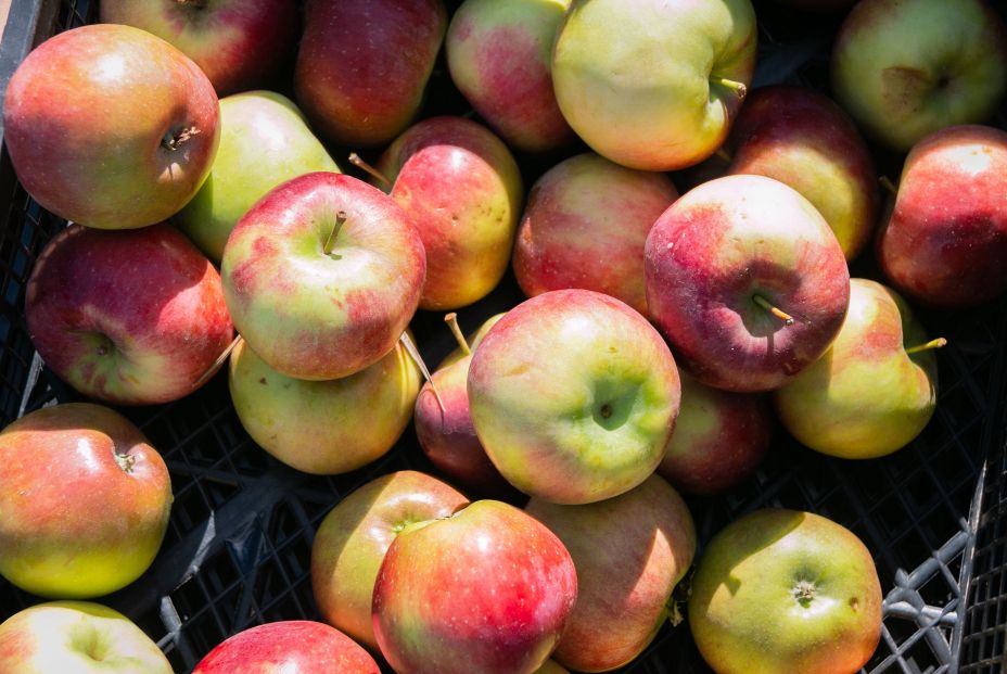 bigstock Lots Of Red Apples Close up  434585666