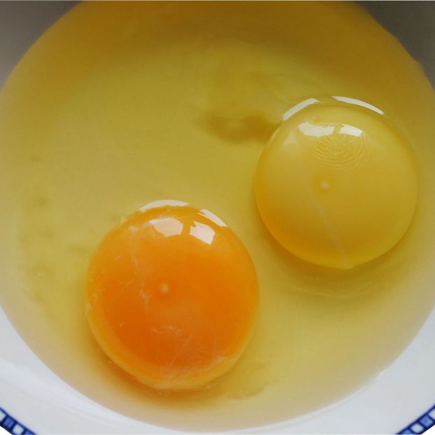 ¿Sabes por qué las yemas de los huevos tienen diferente color?