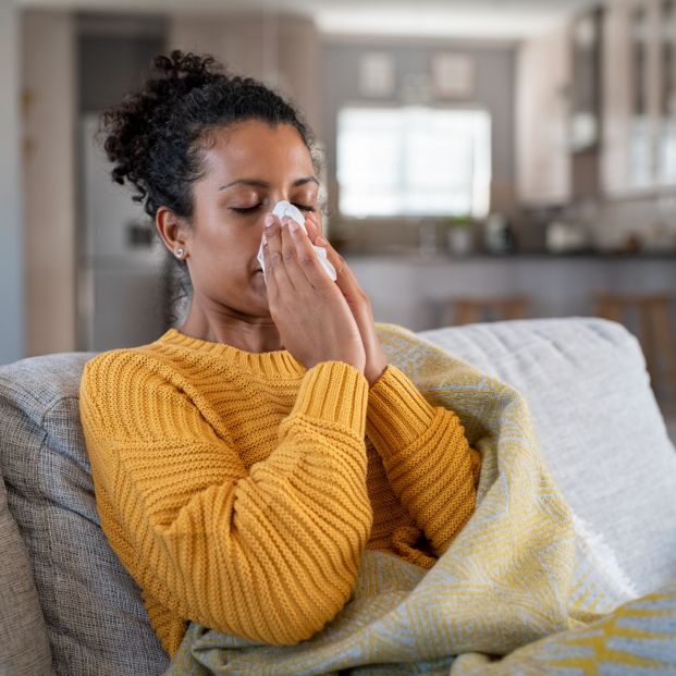 Los fallos del sistema inmune:  ¿Por qué se mantienen las alergias en nuestro organismo?