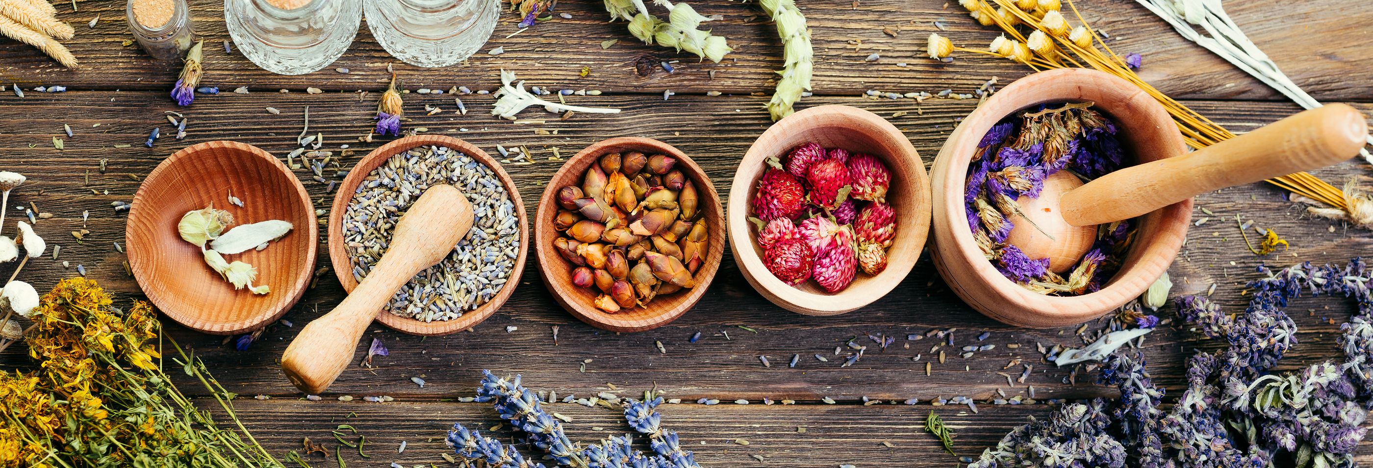 Plantas Medicinales Para Luchar Contra Cualquier Mal