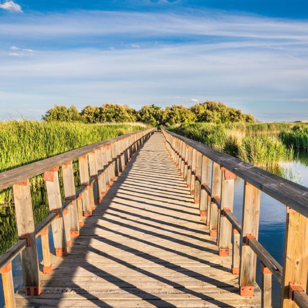 Tablas de Daimiel en Ciudad Real Tablas de Daimiel en Ciudad Real