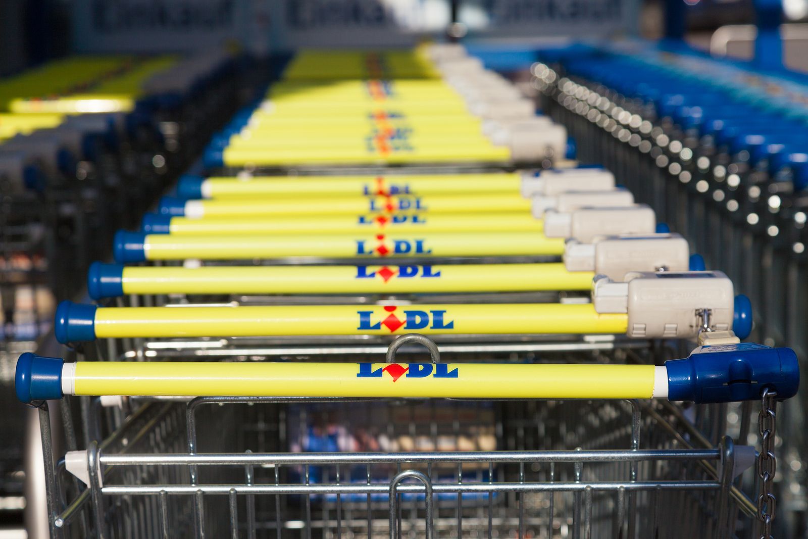 10 tipos de setas en oferta que encontrarás en Lidl