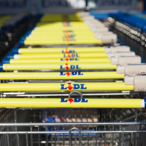 10 tipos de setas en oferta que encontrarás en Lidl 10 tipos de setas en oferta que encontrarás en Lidl