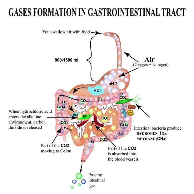 ¿Es malo no expulsar los gases intestinales?