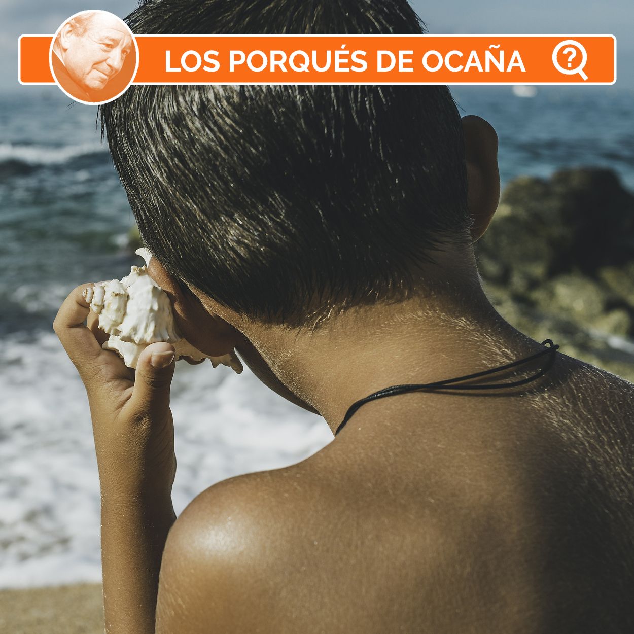 ¿Por qué oímos el mar en una caracola?