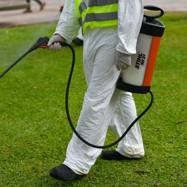 La fumigación para acabar con la plaga de hormigas (Bigstock)