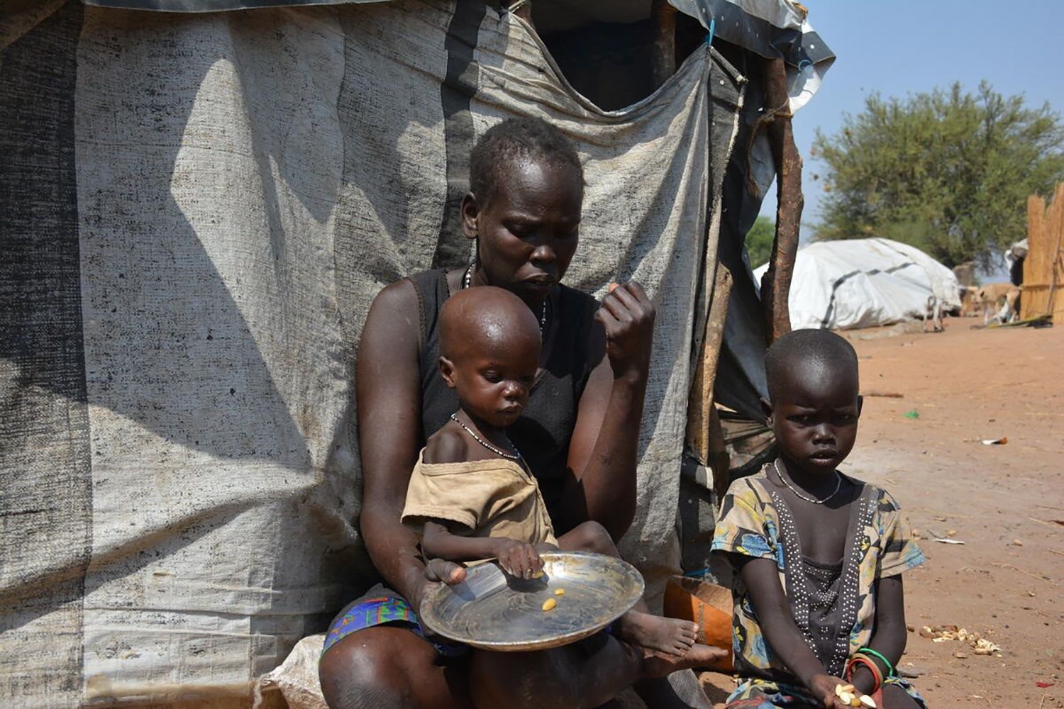 Más de 45 millones de personas, al borde de la hambruna en todo el mundoHambruna mundo