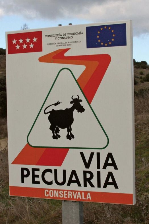 VIA PECUARIA