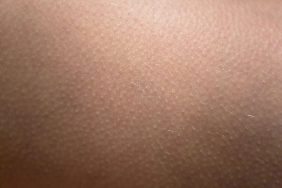 bigstock The Tender Skin Of The Female 277740298 bigstock The Tender Skin Of The Female 277740298