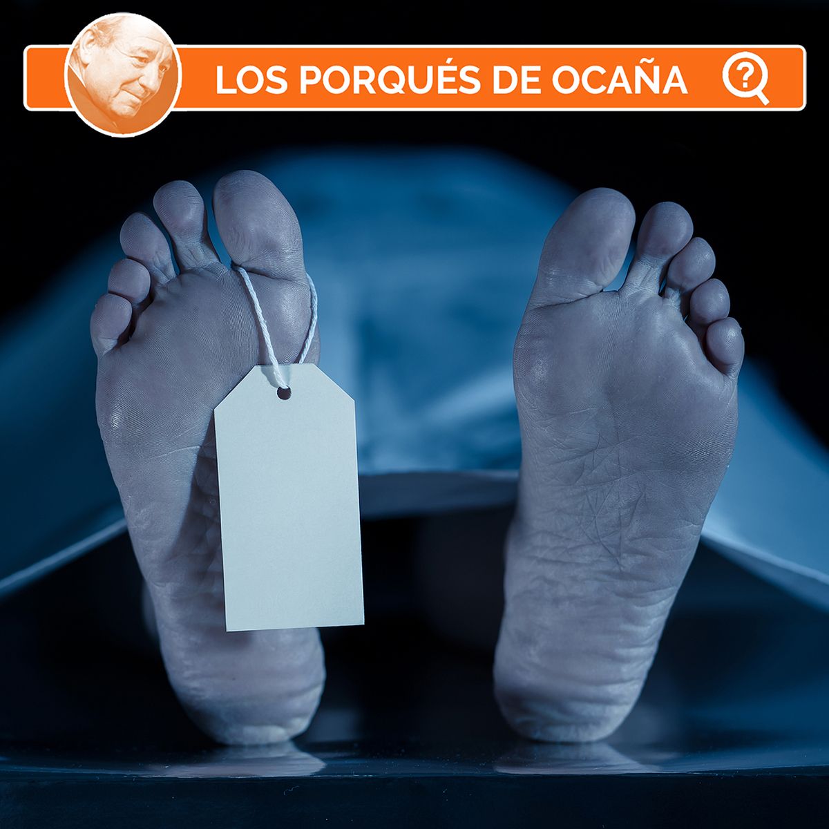 ¿Por qué los forenses dicen que los cadáveres hablan?