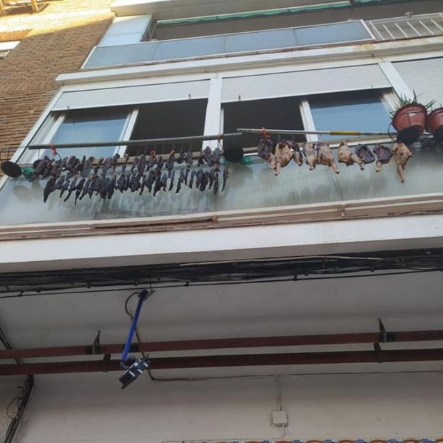 Los pollos tendidos en un balcón que han revolucionado a todo un barrio: "Da asco"