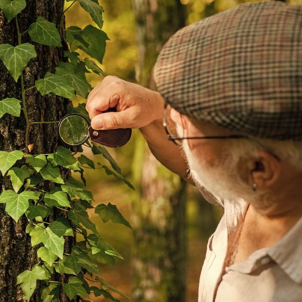 'El Árbol de los Deseos' cumplirá los sueños de tres mayores de Almería 'El Árbol de los Deseos' cumplirá los sueños de tres mayores de Almería