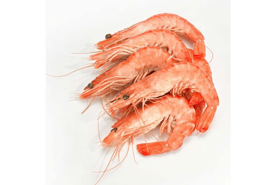 langostino cocido