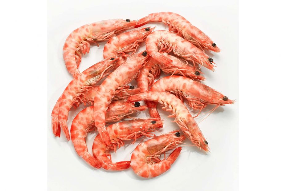 langostino tigre