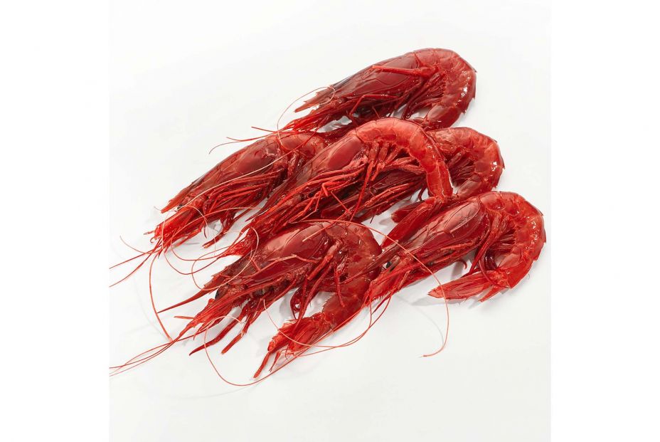 carabineros